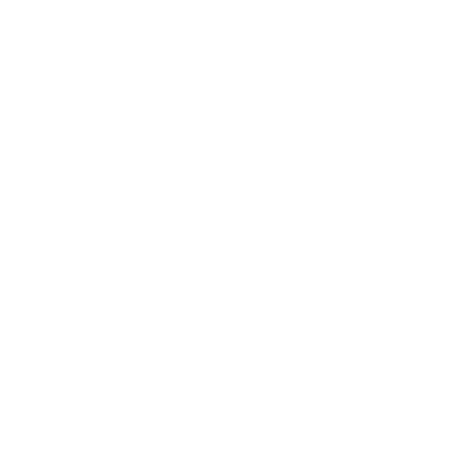 feature-item-1